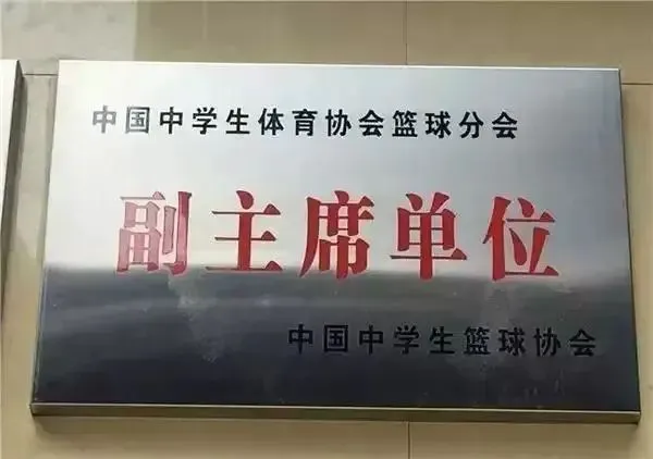 如何通过团队配合提高篮板成功率?_2